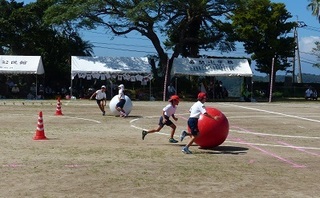 大玉転がし.jpg