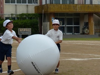 大玉1.jpg