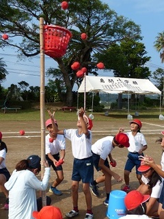 玉入れ1.jpg