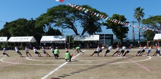 綱引き.jpg