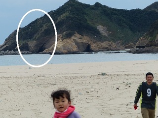 飛んでいった.jpg
