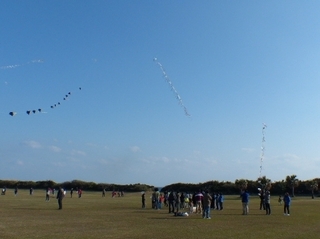 P1080515.JPG